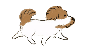 Dog jumping over globe for international pet travel